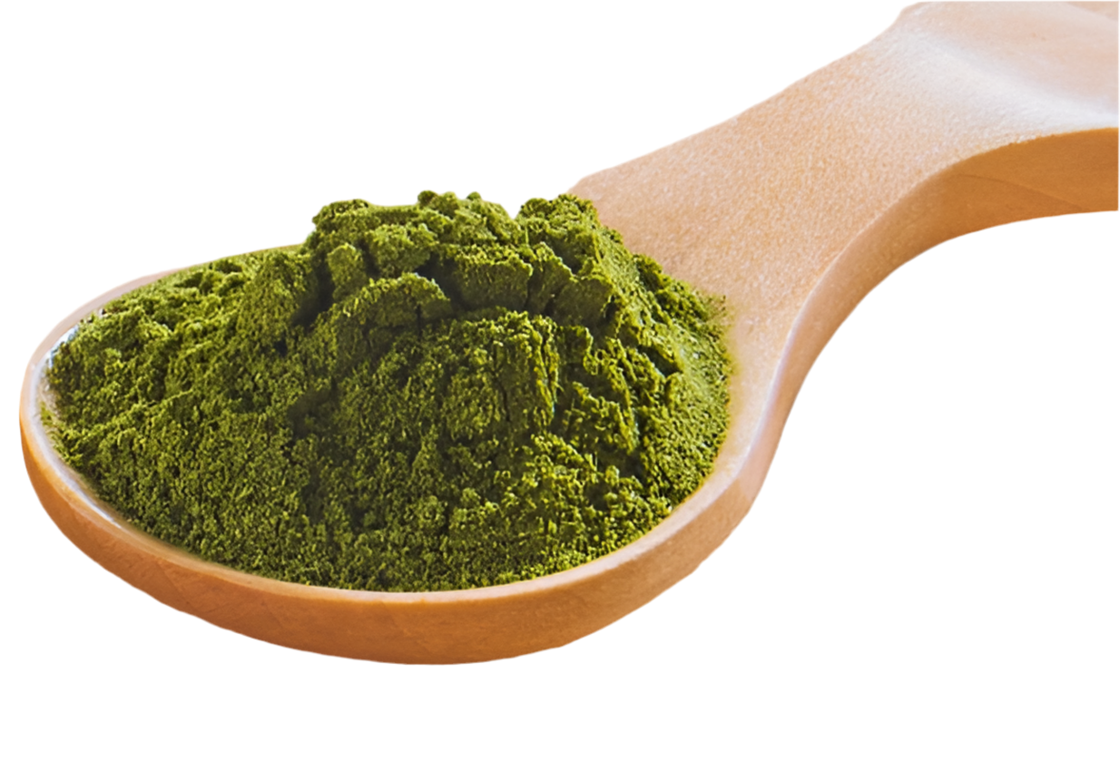Organic Pure Moringa Powder