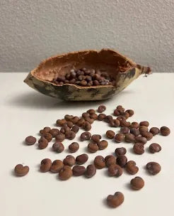 ORGANIC BAOBAB FRUIT/SEEDS