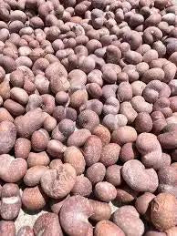 ORGANIC BAOBAB FRUIT/SEEDS
