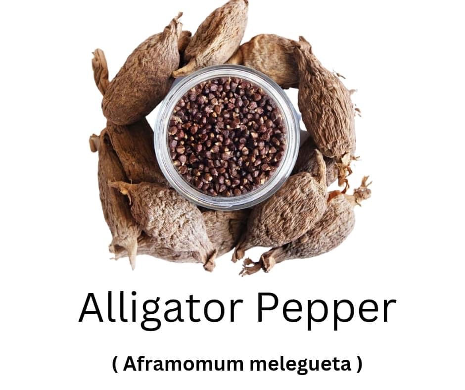ALIGATOR PEPPER