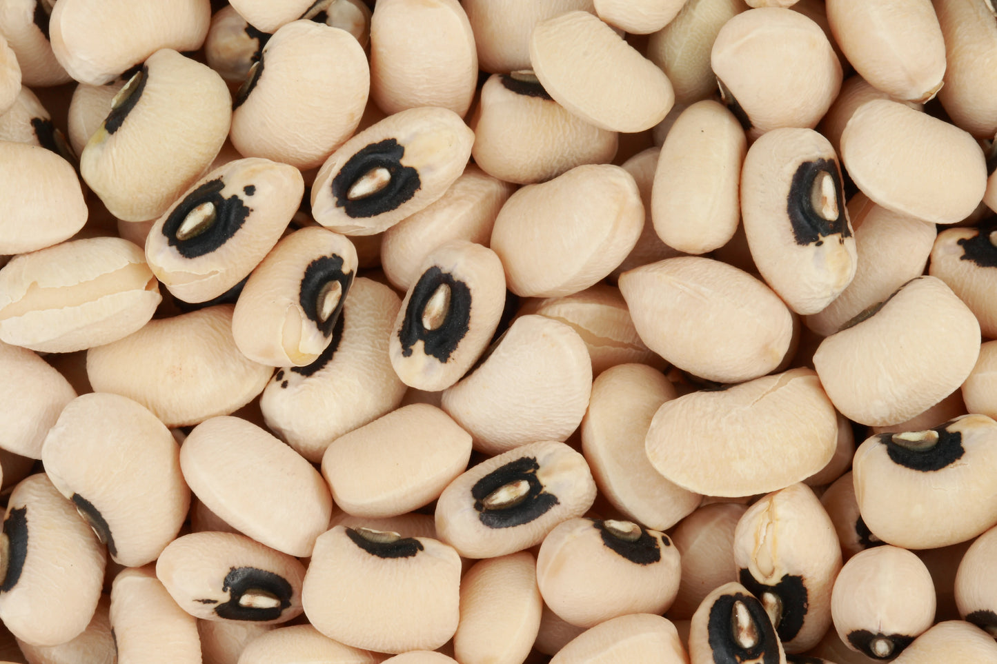 AFRICAN BLACK EYE PEA(BEANS)